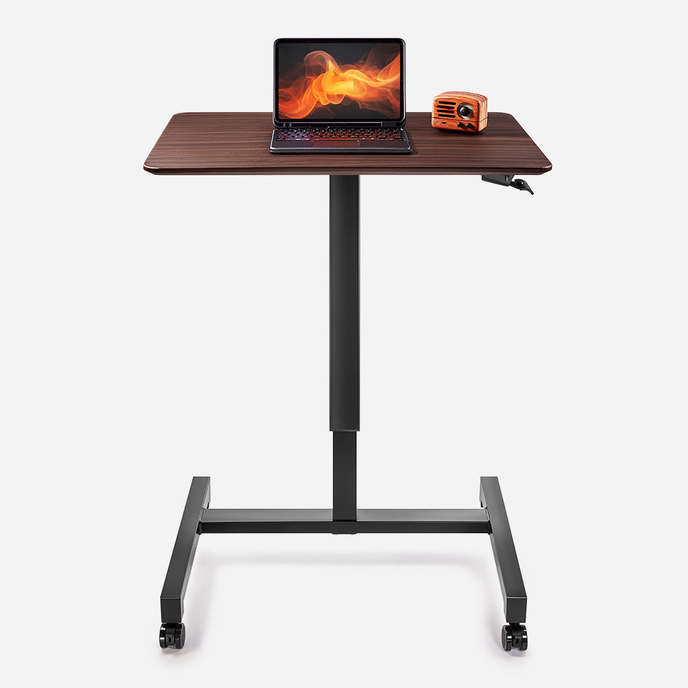 Portable Laptop Standing Desk