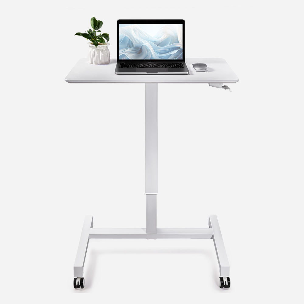 Portable Laptop Standing Desk