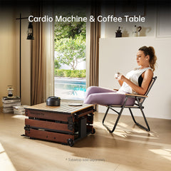 WR3L Tri-fold Water Rowing Machine