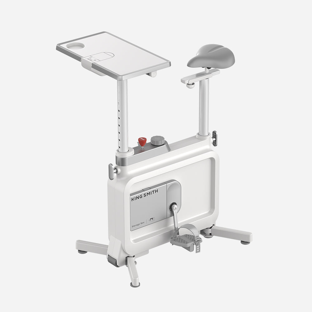 W1B 3 IN 1 Foldable Exercise Bike, Under Desk Bike