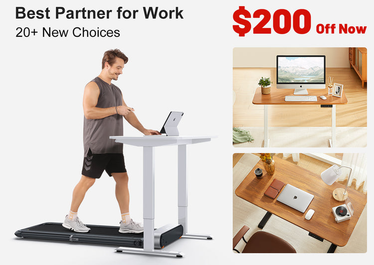 WalkingPad Height Adjustable Desk with Walnut Desktop and Black Frame. Best Partner of Under Desk Treadmills, Your Smart Choice for Modern Office.