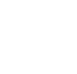 <p>Pneumatic Lift  </p>