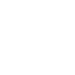 <p>110 lbs Lifting Capacity</p>