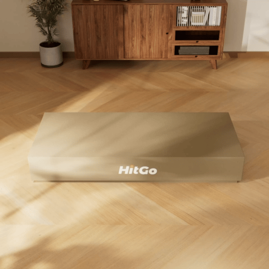 WalkingPad