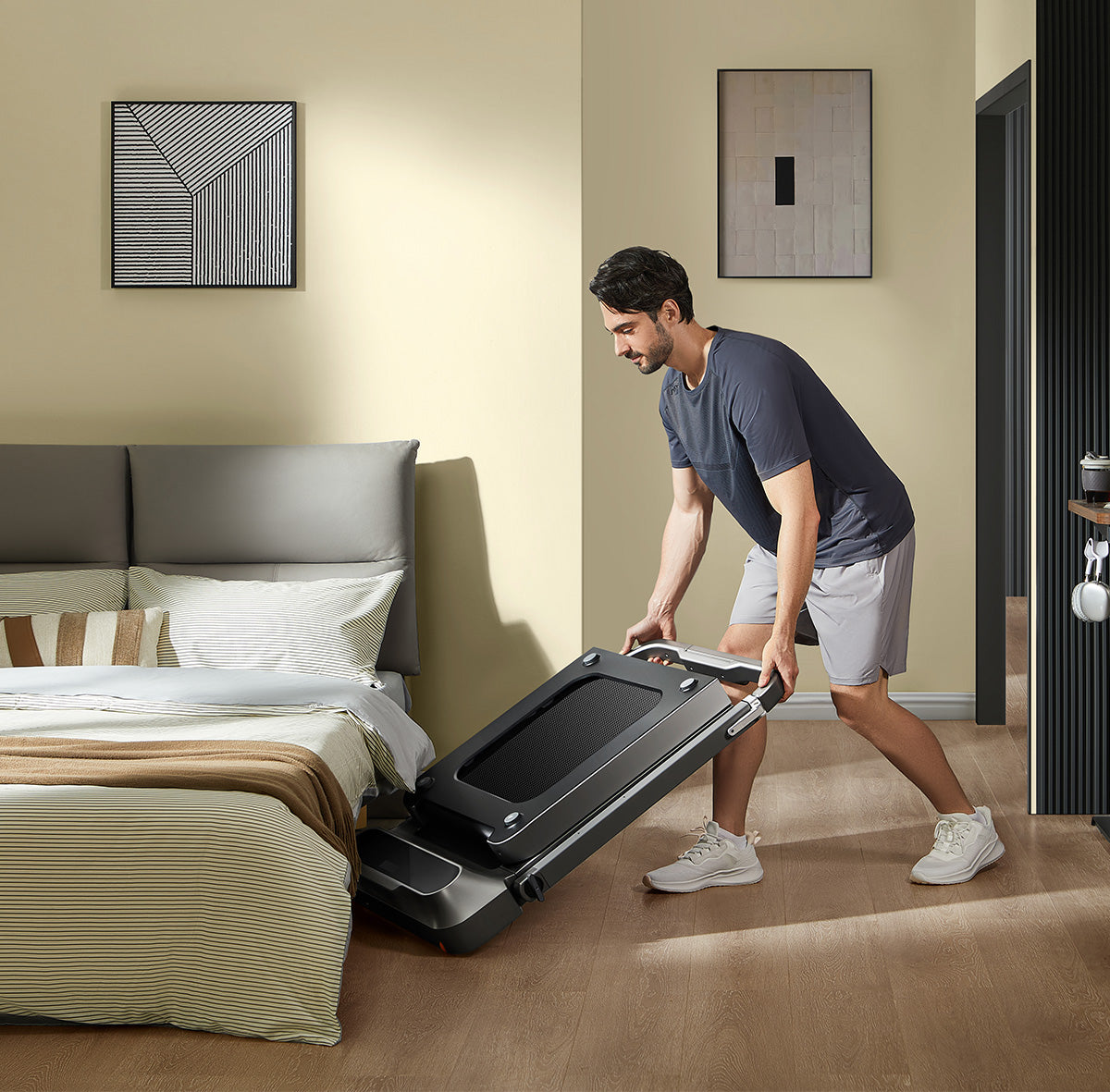 WalkingPad R2 Premium Foldable 2-in-1 Treadmill with Installment