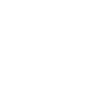 WalkingPad treadmill supporting up to 243 lb maximum user weight