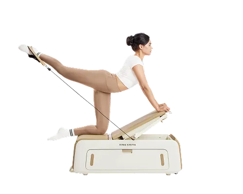 WalkingPad adjustable workout benches for strength training